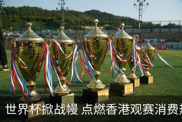 世界杯掀战幔 点燃香港观赛消费热潮
