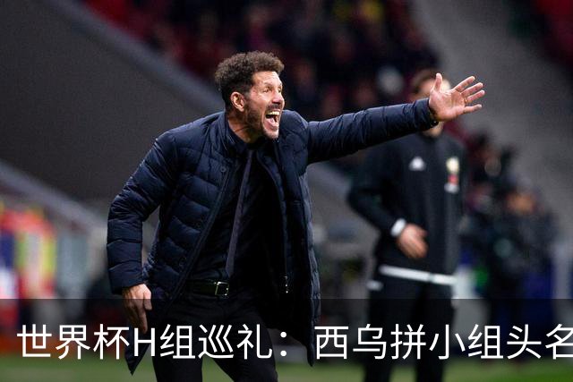 世界杯H组巡礼：西乌拼小组头名 沙特成X因素
