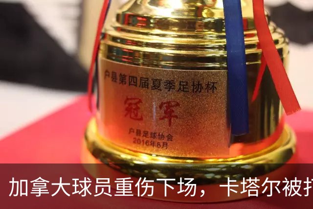 加拿大球员重伤下场，卡塔尔被打爆，“输球又输人”