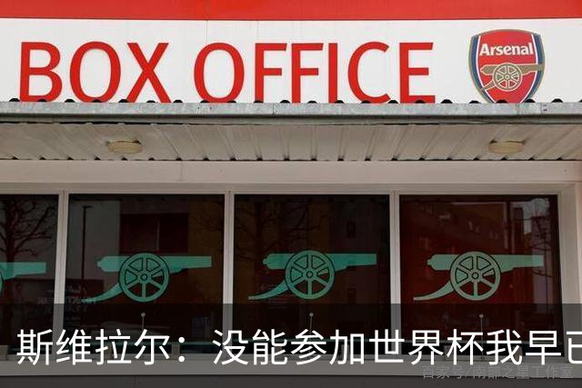 斯维拉尔：没能参加世界杯我早已放下，坦白讲我内心没有太多波澜