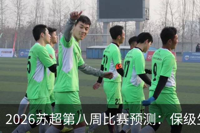 2026苏超第八周比赛预测：保级生死战与榜首对决精彩纷呈